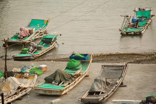〈一派悠閒〉 白蠍 攝